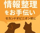 セカンドオピニオンの前の情報整理を一緒にします 獣医師が第三者視点で意見・情報提供します イメージ1