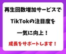 TikTok再生回数増やします TikTokで再生数倍増★あなたの動画をバズらせよう！ イメージ3