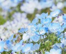 現役看護師が気持ちを受け止めます まとまらなくても、そのままで大丈夫ですよ。 イメージ3