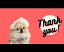 ペット専用！◎うちの子の思い出ムービーを作ります 毎日見たくなるうちの子ショートムービーをお届け！ イメージ11