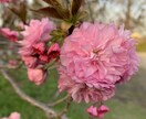 小さな事でも全てお聞きします 何でもどうぞ♪ いろんなこと、思っている事お話しお聞きします イメージ1