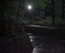 写真を撮ります 一眼カメラにてお写真をお撮りします。 イメージ3