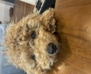 皆さんが抱える全てのお悩みの相談に乗ります 悩み事は溜め込まず人に話す事が1番自分を守る方法です。 イメージ1
