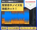 そのノイズ音声もっと聞きやすくできます 【修正回数無制限】セミナー、英会話、アニメやゲームなど イメージ1