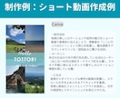 SNSのショート動画を作成します 集客・認知拡大に効果抜群！伝わるショート動画を制作します！ イメージ7