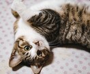 一人で抱え込まないで。どんなお話しも優しく聞きます どんな内容でもOK！５分でも！お気軽にお電話ください♪ イメージ10