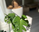 サロンの魅力を引き出す写真を撮影します 選ばれるサロン写真、作りませんか？ イメージ2