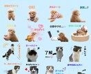 あなた専用・世界に一つのLINEスタンプ作ります ペット・お子さまの写真でスタンプ作成・申請まで全てサポート！ イメージ3