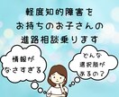 神奈川、軽度知的障害児の進路相談に乗ります 幼稚園・小学校・中学校・中学卒業後、進路選択悩んでませんか？ イメージ1