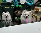 障がいを持ってるお母さんの話を聞きます 人に話すとスッキリしますよちゃんと相談にものります安心してね イメージ1