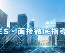 元IT部長×現役准教授がES・面接をサポートします 採用視点でIT・コンサル内定へ！IT元部長・現役准教授が指導 イメージ1