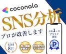 SNSコンサル｜プロが専門的な分析・改善案送ります 全業界分析可能✨️差別化して売上UPさせたい方向け イメージ1