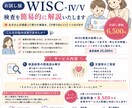 お試し版／WISC検査を簡易的に解説いたします 実績500件超の専門家が発達検査の結果を丁寧に読み解き説明！ イメージ1