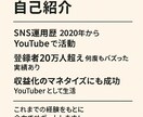 ニッチ動画戦略と配信ノウハウを直接アドバイスします 現役20万人YouTuberがバズらせ方、全部教えます。 イメージ2