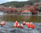 写真素材提供します 写真素材提供します。他にも多数場所あります。 イメージ5