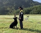 愛犬の「なんで！？」を一緒に解決します 愛犬の「困った」に悩む飼い主さんをサポートします イメージ2