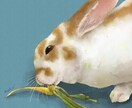 あなたの「うちの子」を水彩画風イラストにします 心に残る、絵本のようなタッチの水彩画風デジタルイラストです イメージ4