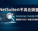 NetSuiteの不具合調査・相談に対応します 1テーマごとに原因調査と改善整理します イメージ1