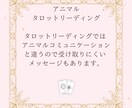 アニマルタロットカードリーディングをします カードを使って愛するわが子からのメッセージをお伝えします イメージ4