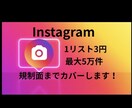SNSのリスト作成代行を行います 即日納品、規制面のカバー対応！ イメージ1