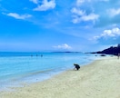 沖縄旅行のプランニングをいたします 個人旅行、ツアー、あなたに合ったプランを選んで提案します！ イメージ4