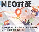 MEO対策で集客のサポートをいたします 忙しい店舗オーナー様のためのMEO運用代行！ イメージ1