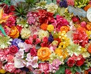 ドSな彼の扱い方教えます ドSな人を好きになってしまった方へ イメージ1