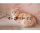 タロット占い師が自分を好きになるお手伝いをします 人生相談・自己肯定感を上げる・自信をつける・自己愛・ イメージ5
