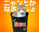 とにかく話を聞いて欲しい、なんか喋りたい方聞きます 愚痴、気晴らし、楽しく、可笑しく雑談したい方向けやでぇ〜♫ イメージ1