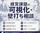 経営課題の壁打ち相談・可視化の支援致します — 経営者の悩みを整理し実務的に解決する支援を致します — イメージ1