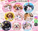愛犬・愛猫のかわいい記念画像をお作りします 大切なペットの写真を世界にひとつの特別な1枚に♡ イメージ3