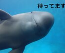 週末で疲れたあなたのお話し聞きます 仕事や家事育児、学校でのことなどお聞かせください！ イメージ3