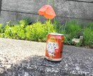 いい画像を提供します ほしい写真があればなんでもお任せ！ イメージ1