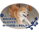 なんでもはなしてくださいひたすらお話を聞きます 大学で心理学を専攻し、現在人材業界で仕事しています イメージ1