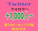 X・旧Twitterのフォロワー増やします ✅＋1,000人増加✅減少保証付✅複垢振り分け可能✅高評価 イメージ1