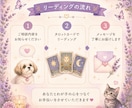 アニマルタロットでわが子の気持ちを読み解きます カードを使って愛するわが子からのメッセージをお伝えします イメージ5