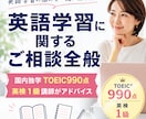 英語学習に関するご相談全般をお受けします 国内独学TOEIC990点英検１級講師がご助言致します イメージ1