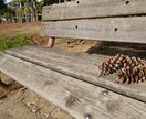 流産死産でお空に帰った赤ちゃんとのご縁を拝見します 流産、死産のお子さんをお持ちの方へ イメージ1