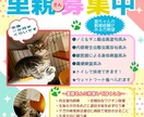 チラシ・フライヤー・ポスターなど制作いたします 写真合成加工OK,素材がない場合のイラスト制作なども承ります イメージ1