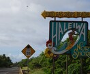 ハワイ旅行お手伝いします 観光・アクティビティ・グルメ情報お教えします。 イメージ8