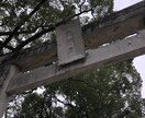 福岡パワースポット三社参りの方法で代理参拝します 願主様の代わりに正式な参拝方法で太宰府天満宮を参拝します。 イメージ1
