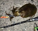 釣りに関するお話、お悩みお聞きします 【最長15日】実体験を基にお答えします！ イメージ7