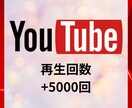 YouTube5000回再生回数増加します 【減少保証30日間】再生回数5000回増加するします イメージ5