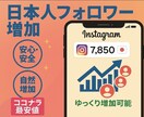 1人12円！ Instagram 日本人増やします すべてリアル⭐️日本人フォロワー＋125人増加サービスです！ イメージ2