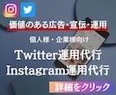 プロが丁寧にSNSの運用代行をさせていただきます Twitter運用代行サービス イメージ1