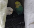 そのやり場のない愚痴、お聞きします 言いたいことを言って、すっきりしましょう！ イメージ1