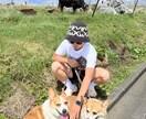 一生の思い出になる旅プランを作りますます 旅好き大学生×実体験で最高の旅行を提案✈️ イメージ9