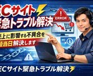 ECサイトの緊急トラブルを即日解決します 売上が止まる前に。EC専門エンジニアが即日対応 イメージ1