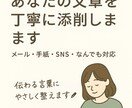 あなたの文章を丁寧に添削します 伝わる言葉にやさしく整えます。 イメージ1