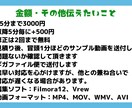 字幕（テロップ）のみの動画編集を行います フルテロップで動画を飾ります！ イメージ7